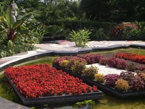 Empresa de jardineria en Madrid