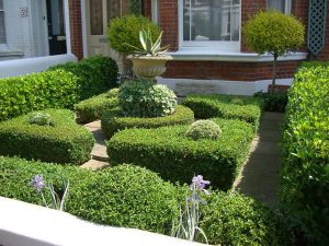 Empresa de jardineria en Madrid