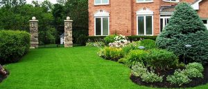 Empresa de jardineria en Madrid