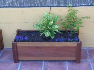 Empresa de jardineria en Madrid