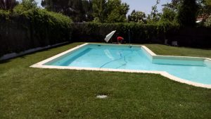 Empresa de jardineria en Madrid