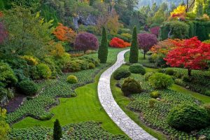Empresa de jardineria en Madrid